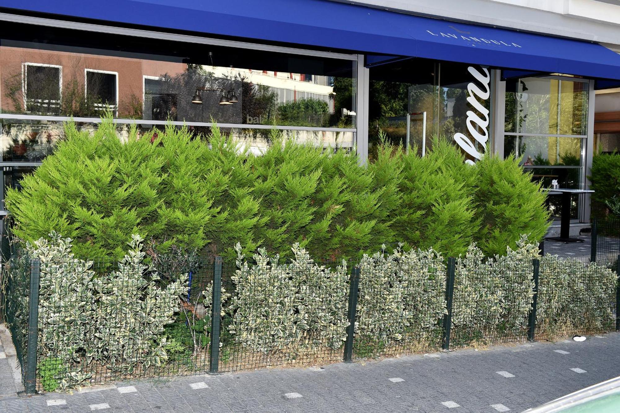 Levent Lavandula Hotel — Fotoğraflar 1